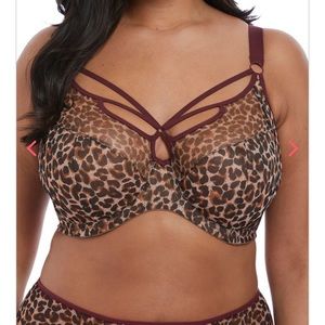 Elomi Sachi Leopard Bra UK 42GG